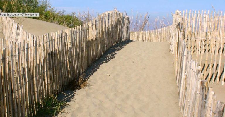 Réouverture Plage des Aresquiers, Villeneuve-lès-Maguelones